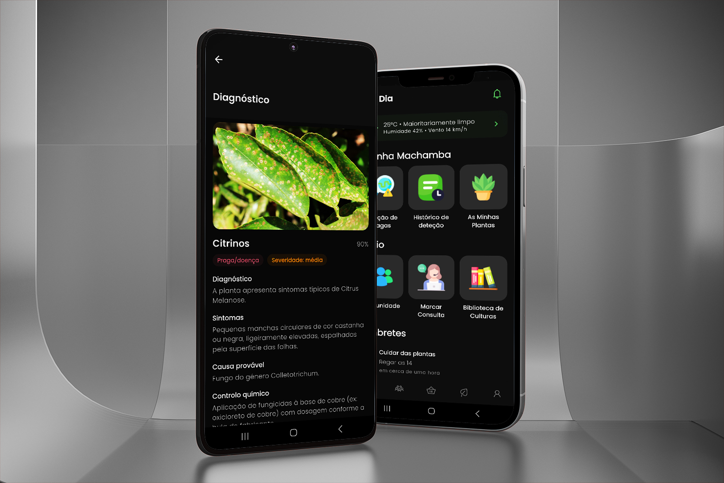 A app Agrovet em utilização no campo